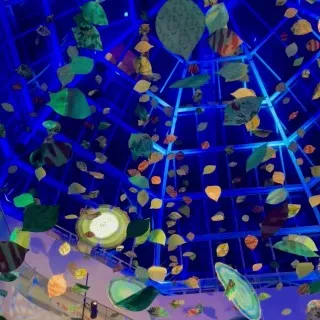 So pleased to be back working on the latest atrium installation with @arabellamcnie and the wonderful team @designcentrech ! Thank you! #atrium #installation #visimp #visualimpact #autumn #focus21atdcch
