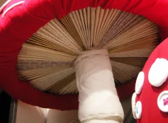 toadstool1