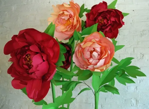 pink&peach-peonys