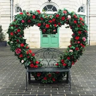 Our heart bench is back! It's in the market place in Kingston.⁠
The Valentine's countdown begins! #visimp #visualimpact #valentine #roses #love #loveinkingston #valentinesday #loveheart